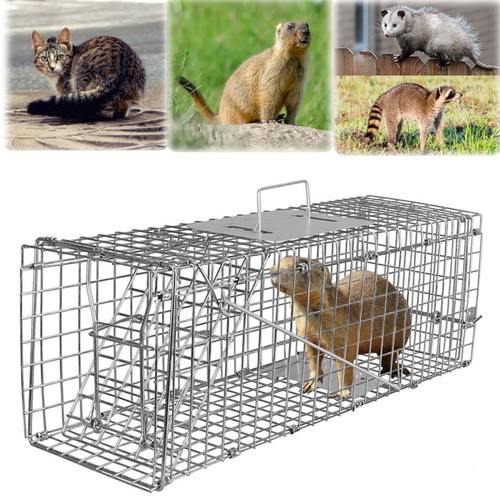 Humane animal trap steel cage - animal,