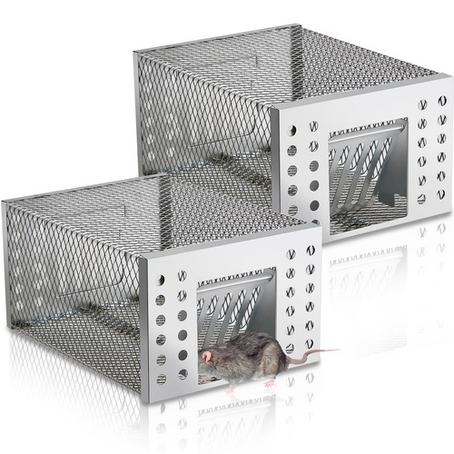 Rat mouse trap catcher humane - rat,