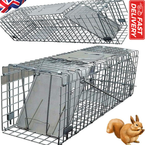 Squirrel trap animal - 24",