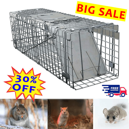 Live animal cage trap rabbit - animal,