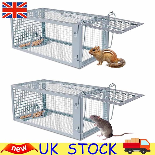 2pack humane rat trap cage - rat,