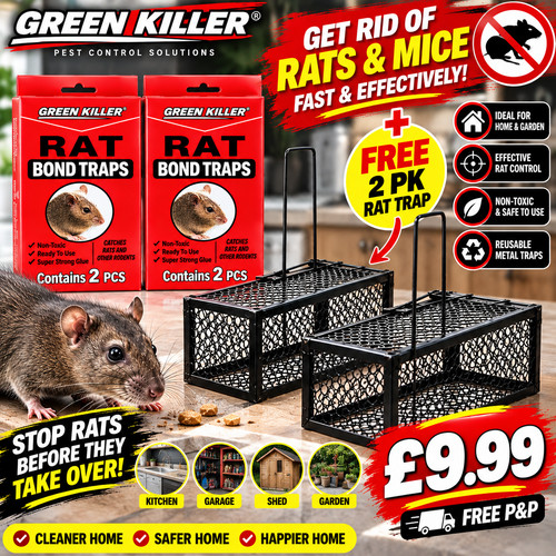 Rat trap mouse - x2,
