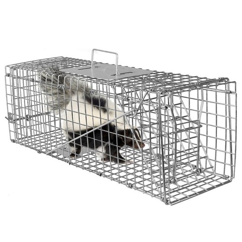 Squirrel trap heavy - squirrel,