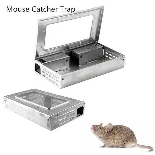 Rat mouse trap live - trap,