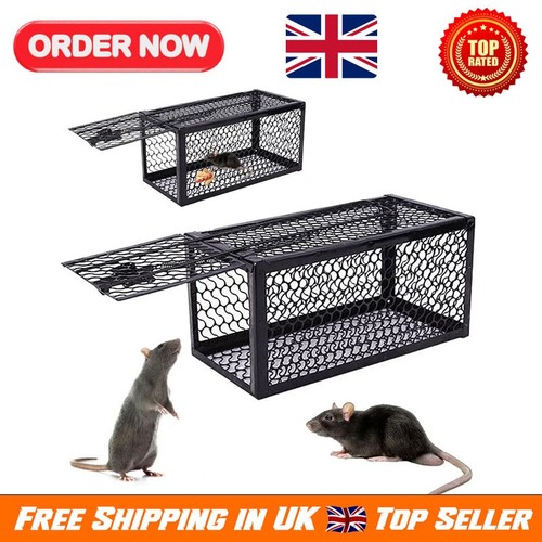 Rat trap mouse catcher - trap,