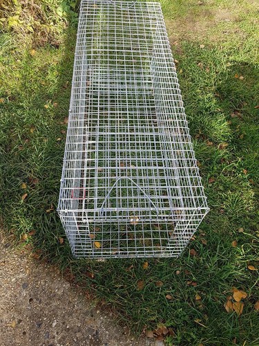 Large catch alive animal - 1,