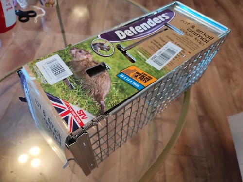 Defenders rat small animal - rat, &
