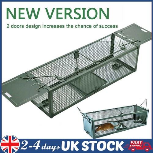 Rat trap squirrel - trap,