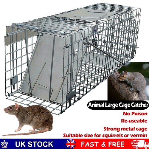 Squirrel trap heavy duty - squirrel, metal