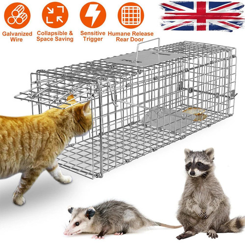 Live animal cage trap - live,