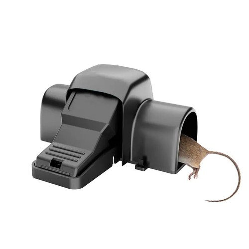 Large dual entry - dual,