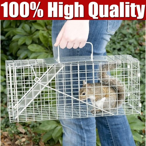 Squirrel rat trap metal - rat,