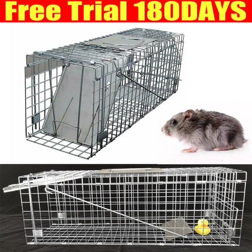 Rabbits,Squirrels,Mink,Rat,Ver