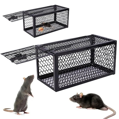 Rat catcher spring cage - catcher,