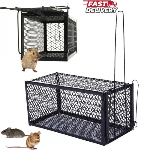 Rat trap mouse - rat,