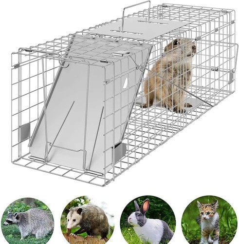 Rabbits,Squirrels,Mink,Rat,Ver