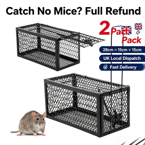 Pack rat trap mouse - 2,