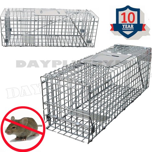 2026 extra large animal - extra,