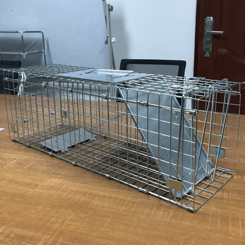 Squirrel trap heavy duty - squirrel,