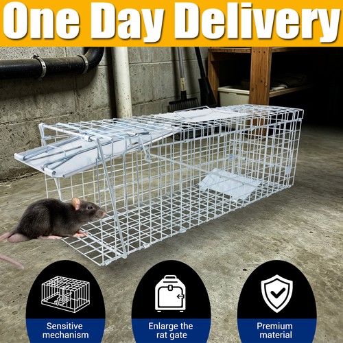 Rat trap mouse catcher - rat,