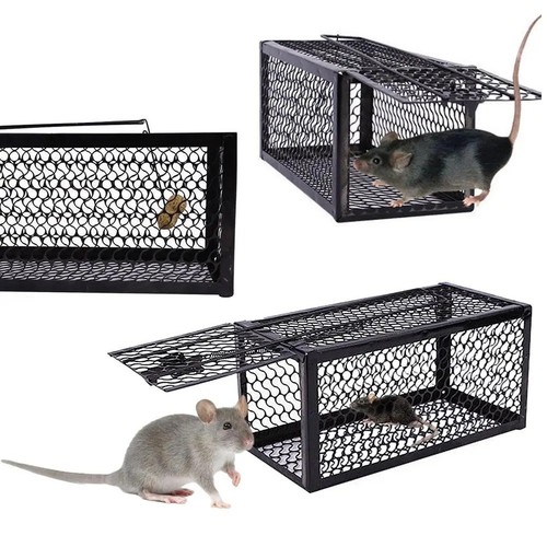 Heavy duty squirrel trap - trap, metal