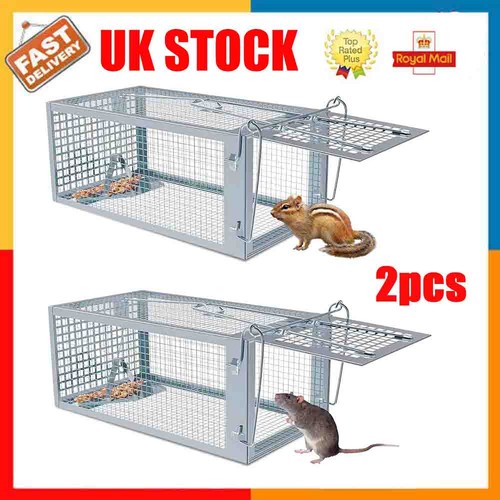 Pcs rat trap - pcs,