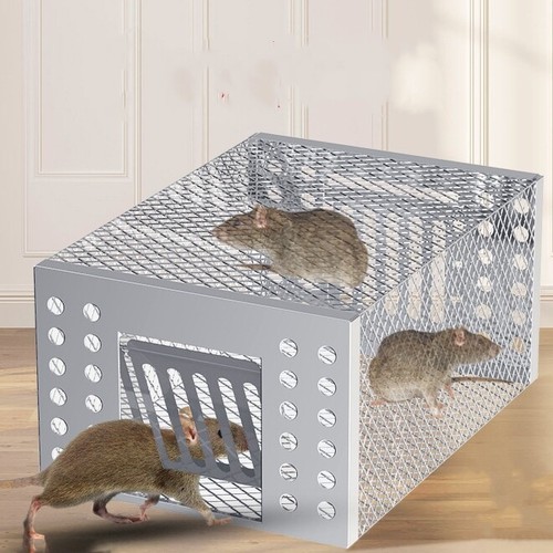 Rat mouse trap - mouse, catcher