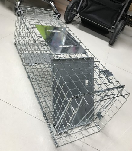 Large humane rat trap - large,